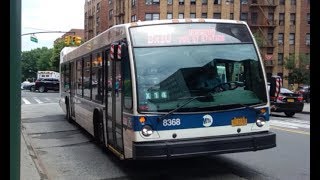 MTA 2015 NovaBus LFS Low Floor 8368 Bx10 bus [upl. by Yahsel641]