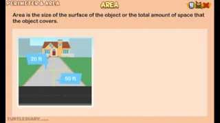 Area of a Shape  What is it amp How do you Find It Math for Kids [upl. by Col579]