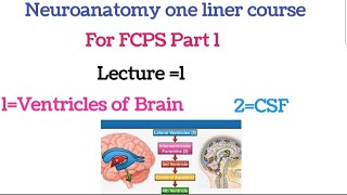 Neuroanatomy one liner course FCPS part 1Lecture 1neuroanatomy for fcps 1neuroanatomy lectures [upl. by Staford268]