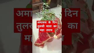 🌹 viral🙏 mavas ke din Tulsi Mata ka MHA upay 🙏🙏🙏🌹👌🌹 [upl. by Aicilanna]