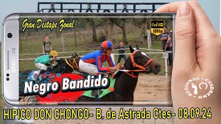 NEGRO BANDIDOGran destape Hipico Don Chongo Beron de Astrada Ctes 080924 [upl. by Hymie]