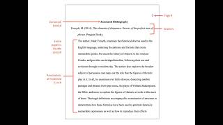 Counterargument and Rebuttal Cause and Effect 200 Level Classes [upl. by Lennaj]