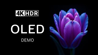 In Black OLED Demo 4K HDR Ultra HD Dolby Vision 60fps  Color Fusion [upl. by Hannis857]