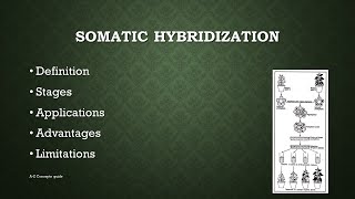 Somatic Hybridization in Plants  Plant tissue culture  AZ concepts guide [upl. by Hakceber]