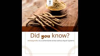 Ashwagandhas widespread use across various Ayush systems highlights its versatile health benefits [upl. by Deedee]