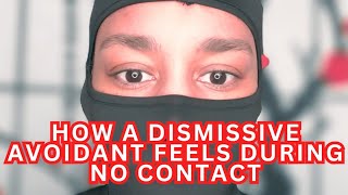 How a FEMALE DISMISSIVE AVOIDANT feels during NO CONTACT  042 [upl. by Acissehc]