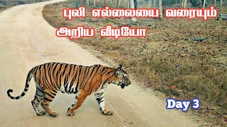 Very Close Tiger Encounter in Kabini Safari  தொட்டுப்பார்க்கும் தூரத்தில் புலி  Jolly Trip [upl. by Balkin]