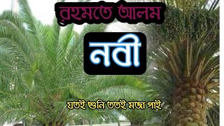 romote alom nobi নবীজী সাল্লাল্লাহু আলাইহি ওয়াসাল্লামকে নিয়ে গজল। [upl. by Yatnoed776]