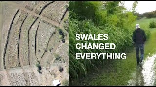 Rainwater Harvesting with Swales A Permaculture Success Story [upl. by Nuhsar855]