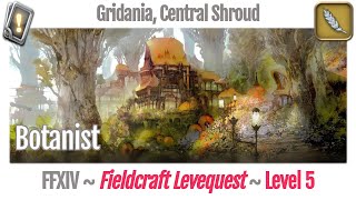 FFXIV Botanist Leves Level 5  Gridania Central Shroud  A Realm Reborn [upl. by Ttekcirc]