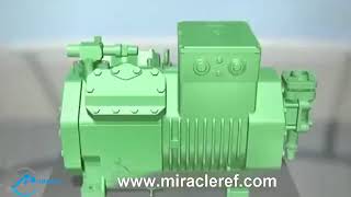 The working principle of Bitzer compressor [upl. by Sarette451]