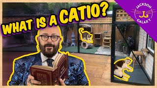 What is a Catio  Cat Daddy Dictionary [upl. by Cohdwell]