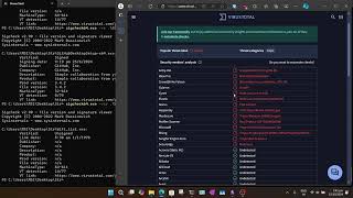 SigCheck  Sysinternals Suite part 2  Navybird [upl. by Nicolai]