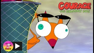 Courage The Cowardly Dog  Cajun Fox  Cartoon Network [upl. by Welker31]