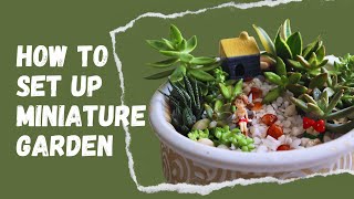 Creating a Beautiful Mini Garden StepbyStep Guide [upl. by Kcired177]