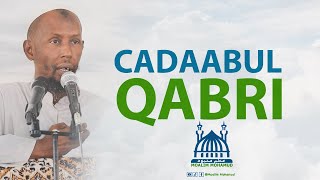 CADAABUL QABRI IYO WAX YAABAHA SABABA  MACALIN MAXAMUUD [upl. by Iggie]