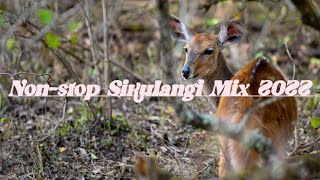 NONSTOP SIKULANGI MIX 2022 BORANA SONG [upl. by Akeemaj]