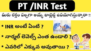 PTINR Test in Telugu [upl. by Tlevesor399]