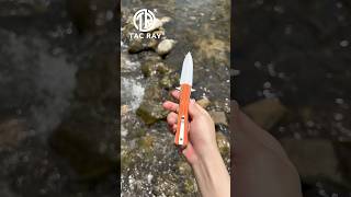 Unique Folding Camping Knife，Durable Handle G10 and Singleedged Sharp Blade edc [upl. by Turk10]