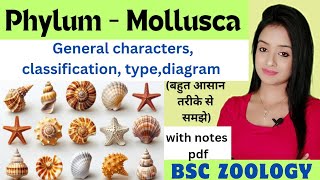 phylum mollusca Mollusca phylum bsc 1st year zoology knowledge adda lion batch characters type [upl. by Tennies]