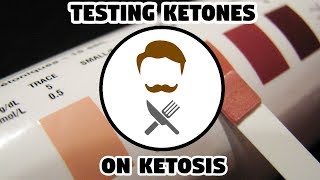 Keto Guide  Testing Ketones AT HOME [upl. by Stannfield]