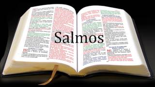 LIVRO DOS SALMOS COMPLETO [upl. by Lello]