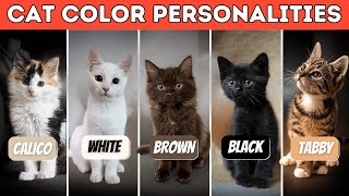 What Your Cat’s Coat Color Reveals About Their Personality [upl. by Blackstock]