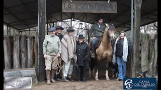 La Ruta del Caballo Chileno por Sudamérica Cap1 Cabaña La Escondida [upl. by Aynuat128]