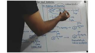 Reactions of aldehydes and Ketones with hydrogen cyanide and sodium bisulphite [upl. by Lisetta715]