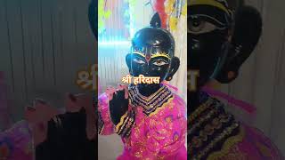 Vrindavan ke banke BiharibhajanBanke Bihari ji shringartrendingytshorts viral [upl. by Mendie]