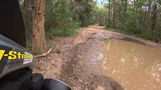 2017 Suzuki V Strom 650 XT offroad test with Michelin Anakee Adventure Tyres Ourimbah State Forest [upl. by Elyssa]