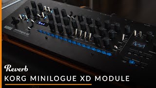 Korg Minilogue XD Module  Reverb Demo [upl. by Eyks]