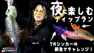 【ティップラン小浜】夜に楽しむティップランゲーム《ニュータックルリポート》 [upl. by Buchheim]