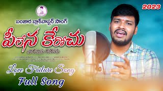 pilena kerochu taravasu rorochu full song  balakrishna Banjara songs  st songs  balaji creations [upl. by Geminius922]