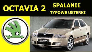 SKODA OCTAVIA 2 OPINIE TYPOWE USTERKI SPALANIE ZALETY I WADY [upl. by Ebert]