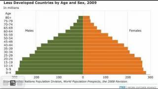 Distilled Demographics Deciphering Population Pyramids [upl. by Carie]