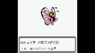 Shiny Butterfree evolution from Metapod  Pokémon Crystal [upl. by Saxela]