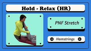 Hold Relax HR  PNF Stretching of Hamstrings [upl. by Hersch]