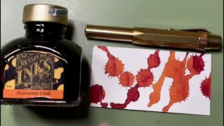 Fall Vibes  Kaweco Brass Sport Extra Fine  Diamine Autumn Oak  Fountain Pen Journey [upl. by Einnal]