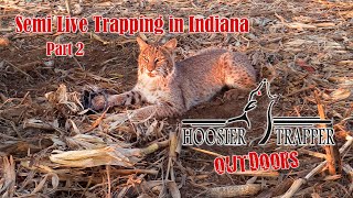 Semi Live Trapping in Indiana Part 2  Ep13 S12 [upl. by Ahseinar]