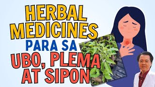 Herbal Remedies sa Ubo Plema at Sipon Payo ni Doc Willie Ong [upl. by Nairolf297]