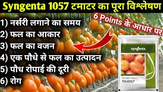 Syngenta 1057 टमाटर की सम्पूर्ण जानकारी  Syngenta 1057  सिंजेन्टा 1057 [upl. by Faber271]