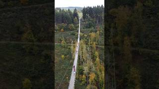 The Geierlay Germanys longest suspension bridge travel dji drone explore deutsch nature [upl. by Ashlee189]