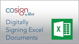 Signing Excel with CoSign [upl. by Enenaej]