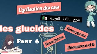 les glucides  cyclisation des oses part 6 [upl. by Denyse]