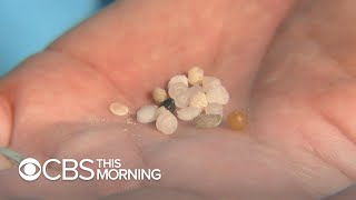 Plastic pellets known as nurdles are polluting our waterways [upl. by Boehike]