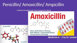 Penicillin Amoxicillin Ampicillin [upl. by Lamoureux572]