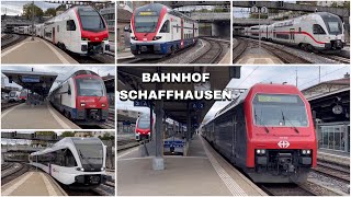 Züge beim Bahnhof Schaffhausen  Trains at Schaffhausen station 2023 [upl. by Aztin77]