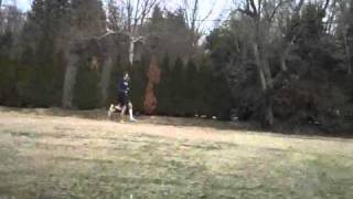 LyonsMacDowell Workout 1911wmv [upl. by Yancy]