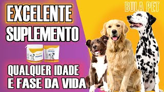 Suplemento Vitamínico para cães de qualquer idade  Promun Dog [upl. by Malachy]